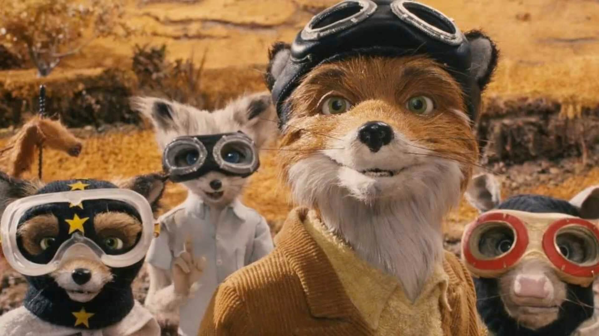 fantastic mr fox ash wallpaper