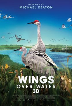 Poster for the film Wings Over Water
