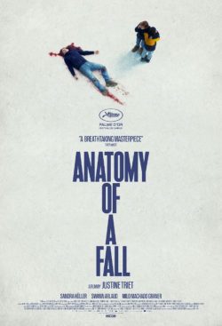 Poster for the film ANATOMY OF A FALL