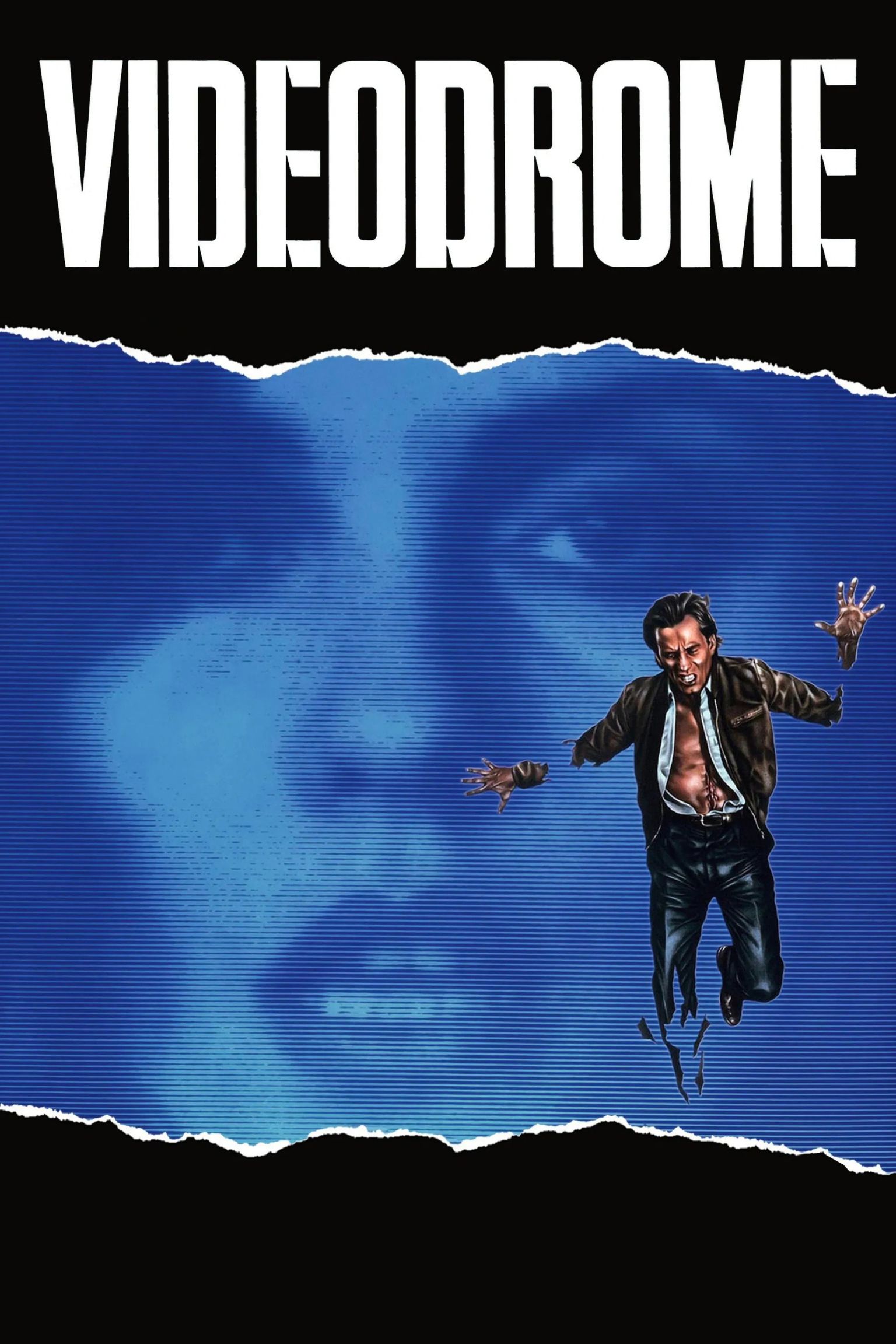 Videodrome Jacob Burns Film Center videodrome-jacob-burns-film-center