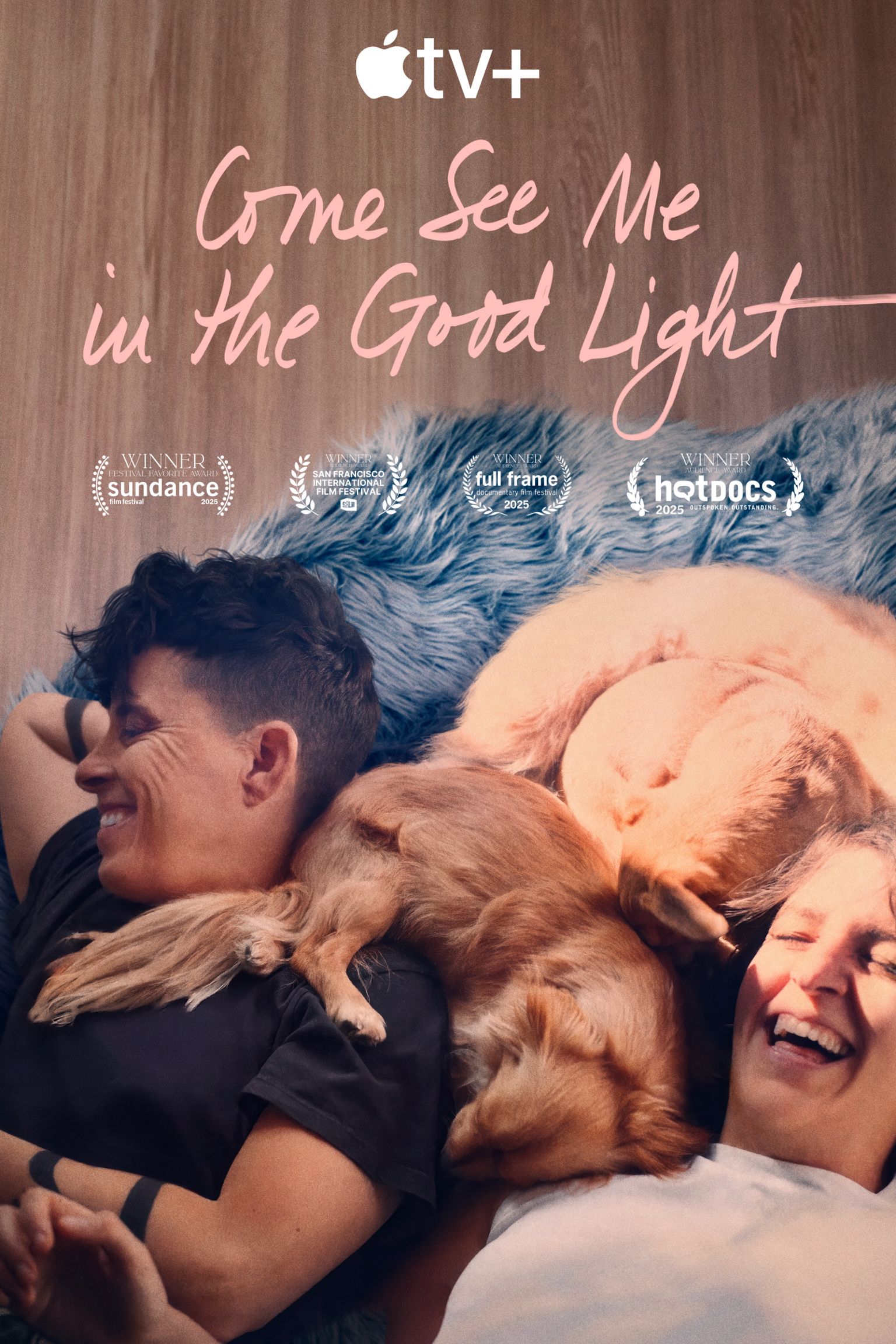 Come See Me in the Good Light : Jacob Burns Film Center